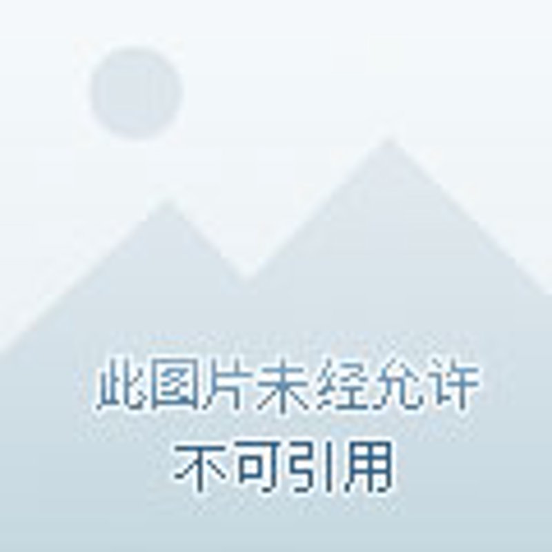 李鸿章：晚清政坛的“多面手”